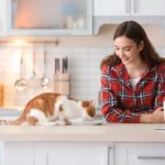 Prebiotics for Cats