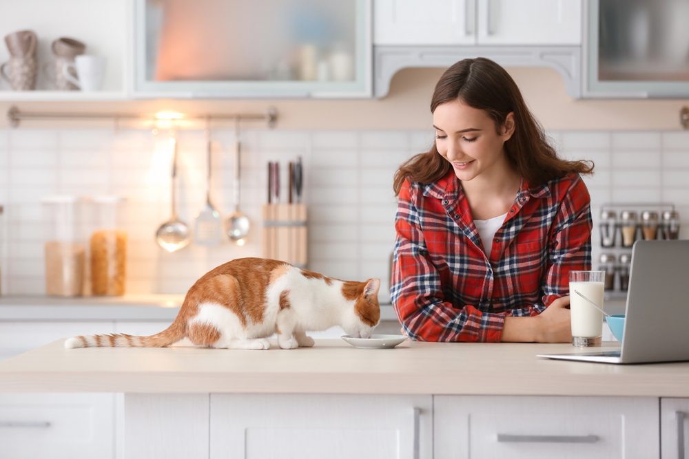BeautifulYoungWomanWithCuteCatInKitchenAtHome Total Vet Prebiotics for Cats
