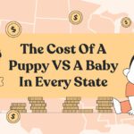 puppy vs baby