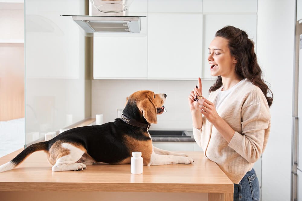 Total Vet Pawfy Probiotics for Dogs Reviewed Pros Cons and Ingredient Analysis