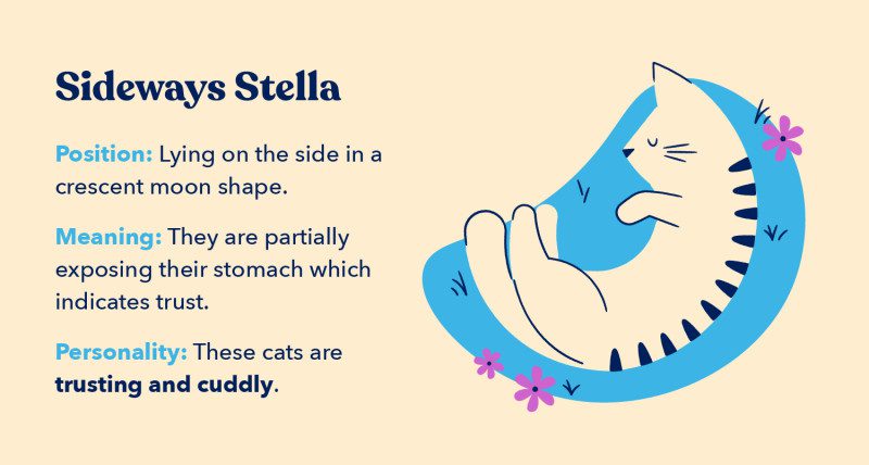 sideways stella
