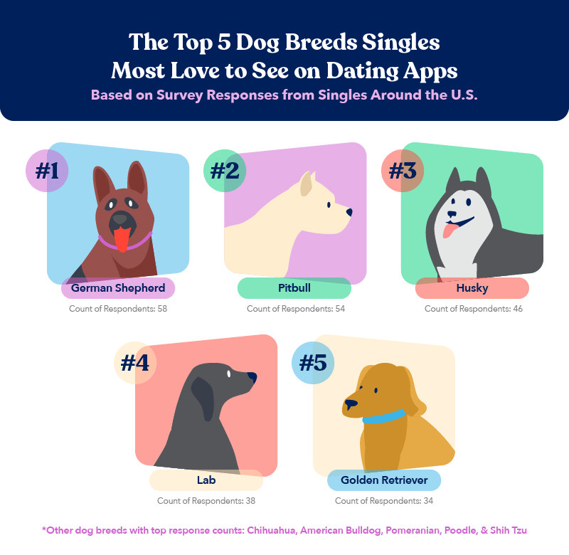 Total Vet single dog lovers