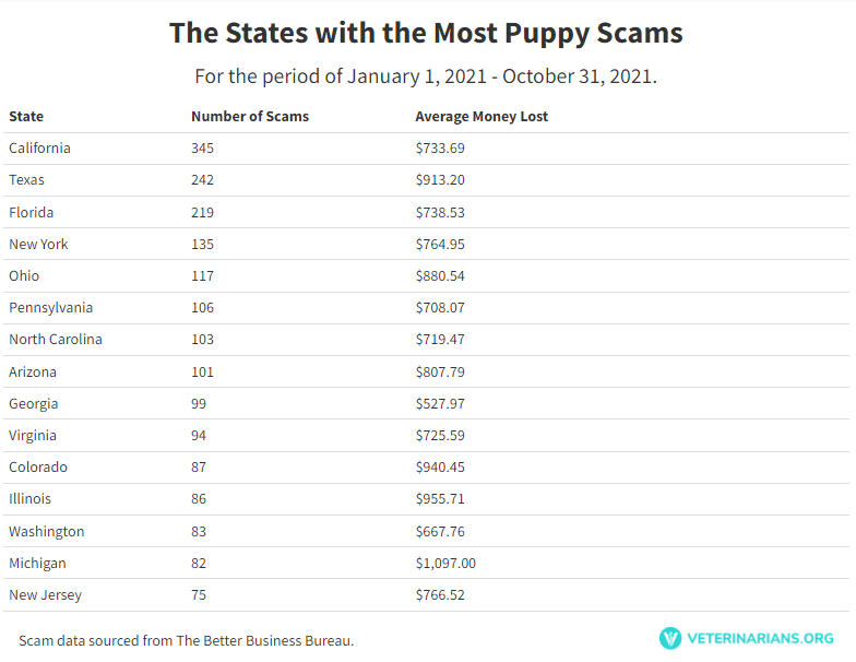 Total Vet states with the most puppies for sale scams