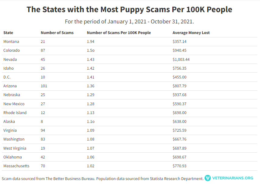 Total Vet the states with the most puppy scams per 100K people