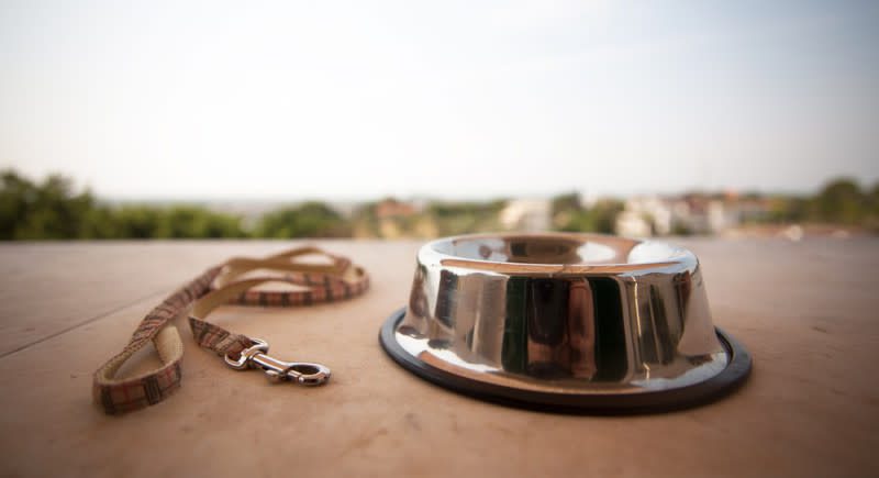 the effects of the loss of a pet