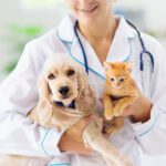 vet near me