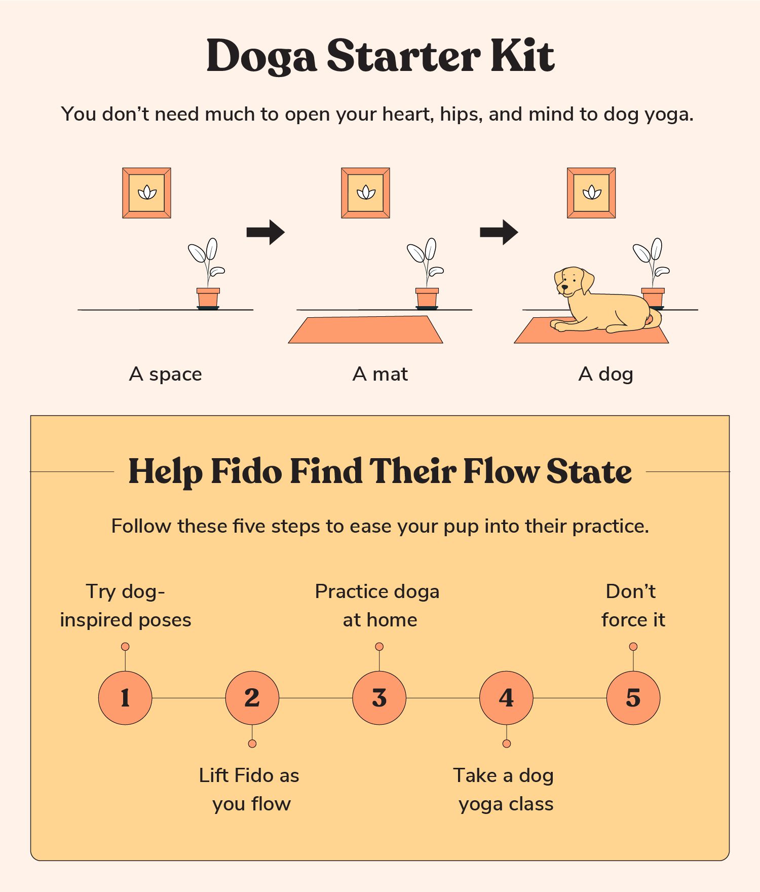 Total Vet yoga for dogs
