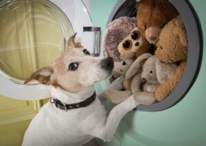 what should I look for in a dog toy cleaning product