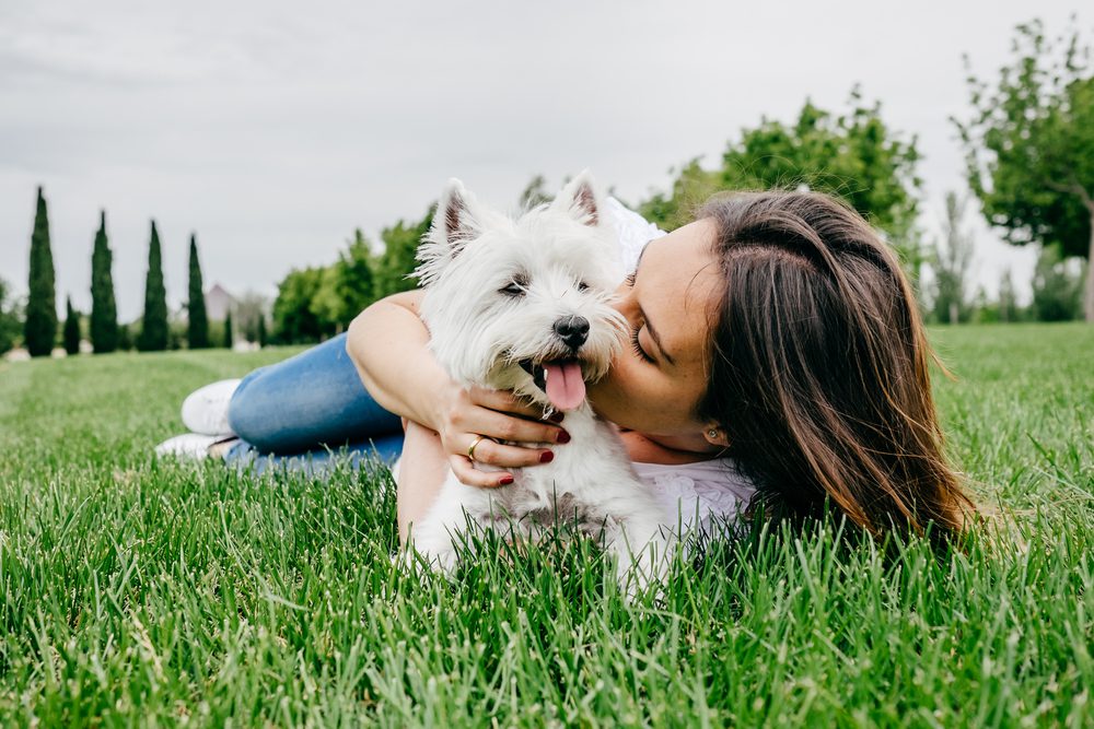 better bonding with your dog Total Vet better bonding with your dog