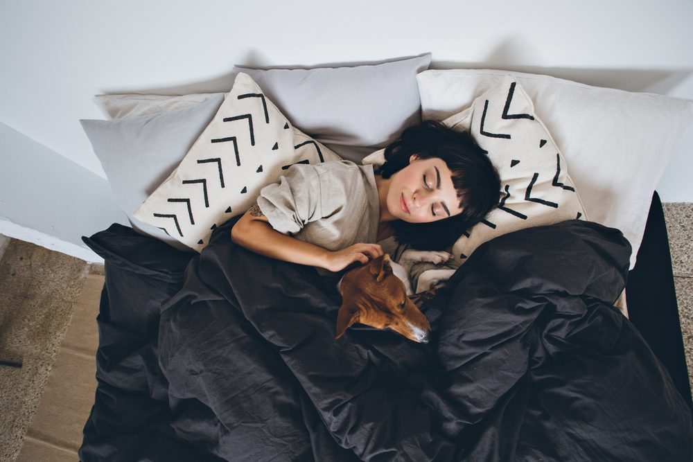 building a better bond with you dog Total Vet building a better bond with your dog