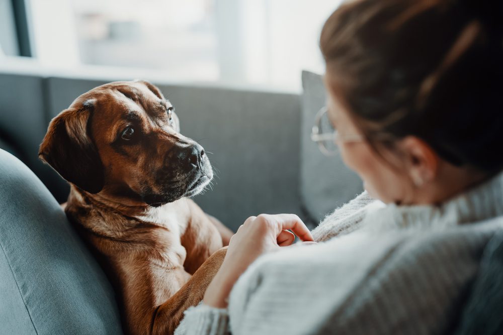 WomanCuddlesPlaysWithHerDogAtHomeBecauseOf Total Vet causes of dog depression