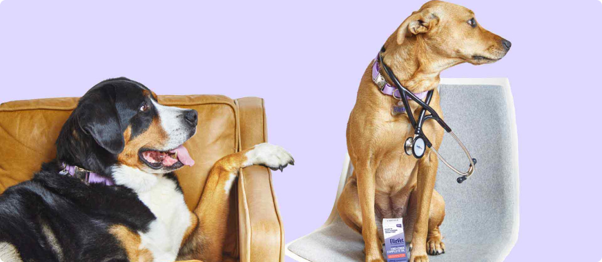ellevetproscons Total Vet ellevet pros cons