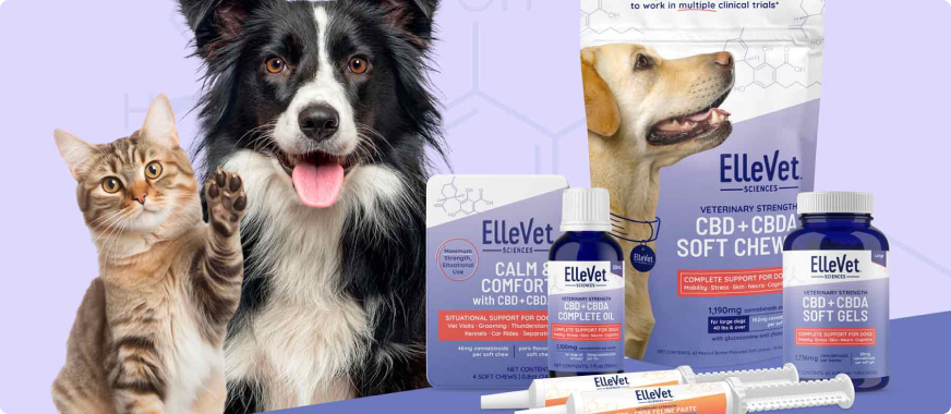 ellevetveterinarians Total Vet