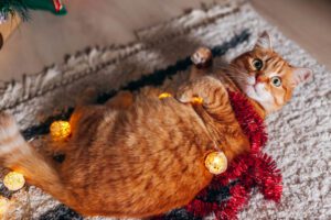 festive decorations