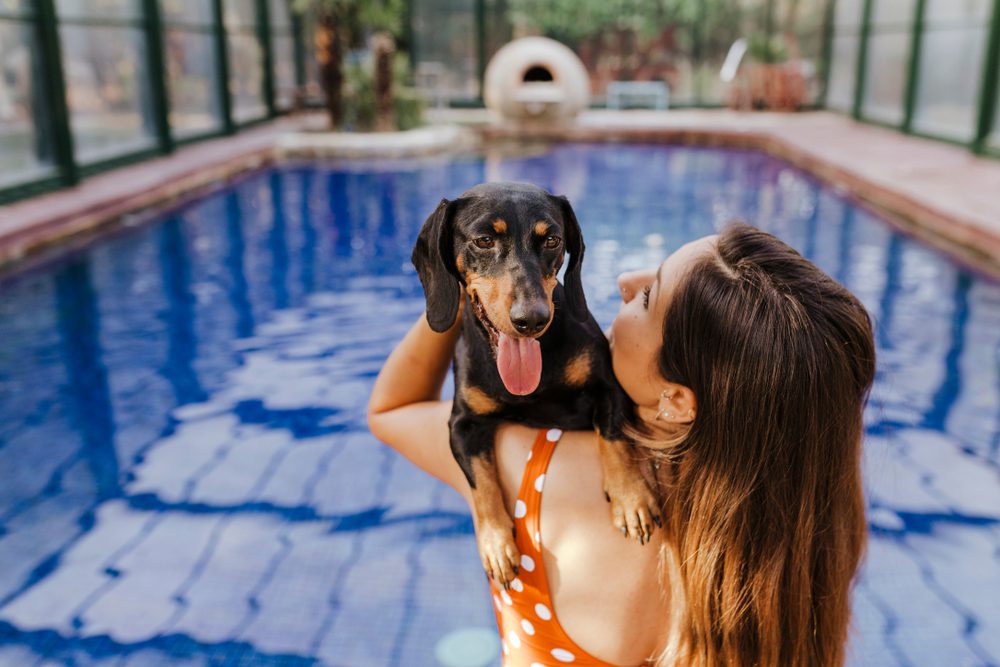 how to build a better bond with your dog Total Vet how to build a better bond with your dog