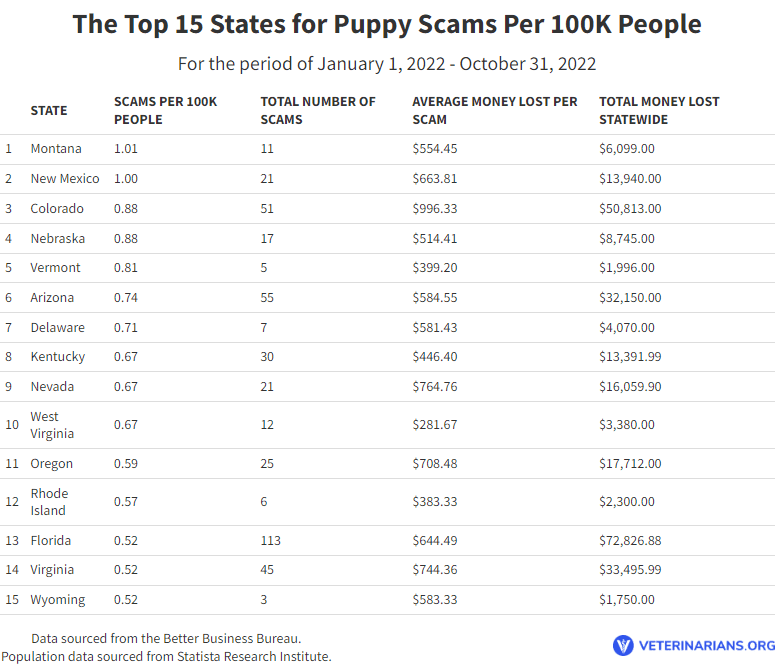 puppyforsaletop15statesper100K2022 Total Vet The top 15 states for puppy scams per 100K people