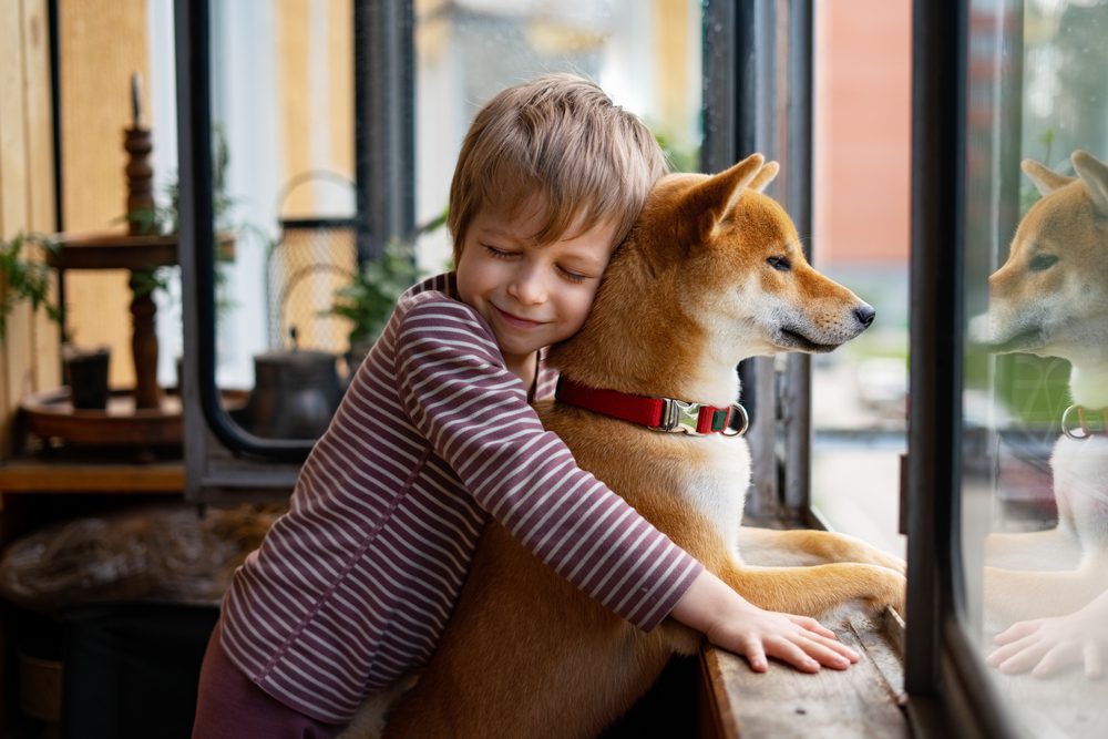 LittleBoyWithBestFriendShibaInuLookingThroughWindow Total Vet six ways to help a dog with depression