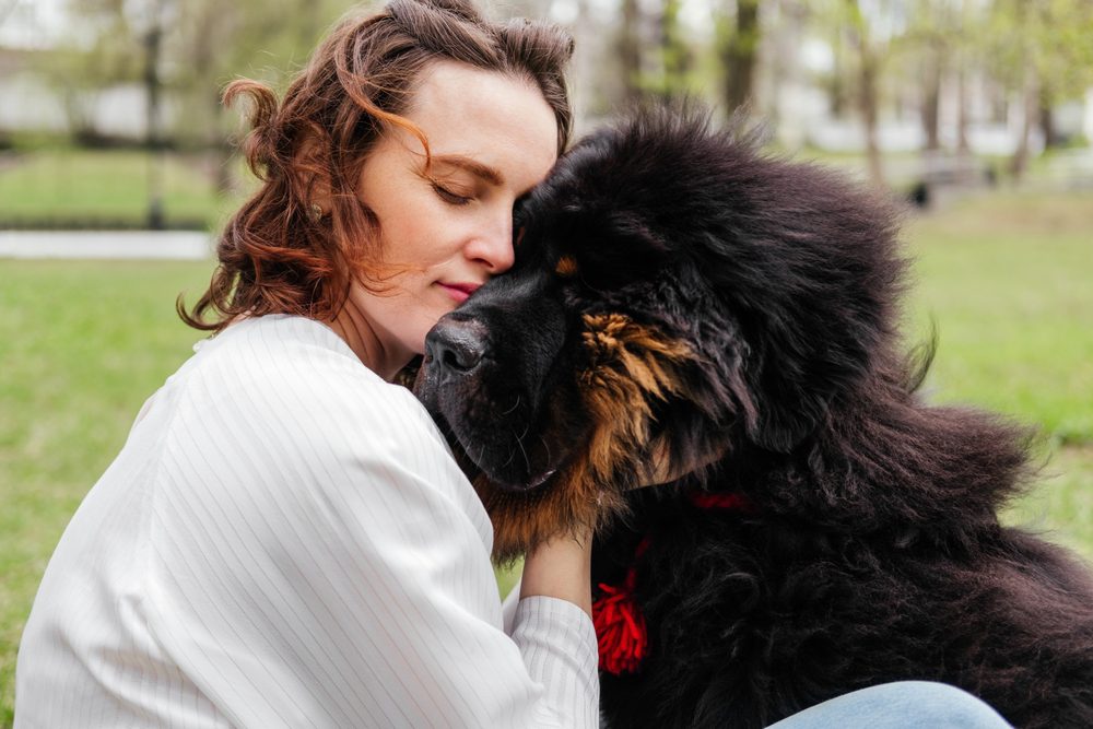 the importance of a strong bond with your dog Total Vet the importance of a strong bond with your dog