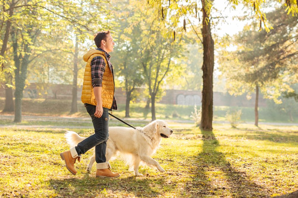 Dog owner walking his dog