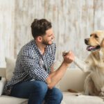 new years resolutions for you and your dog