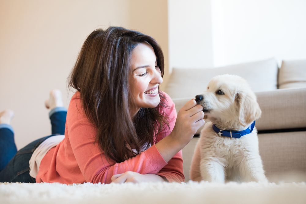 WomanLayingOnFloorWithAPuppy Total Vet Dog getting a Pet Honesty supplement