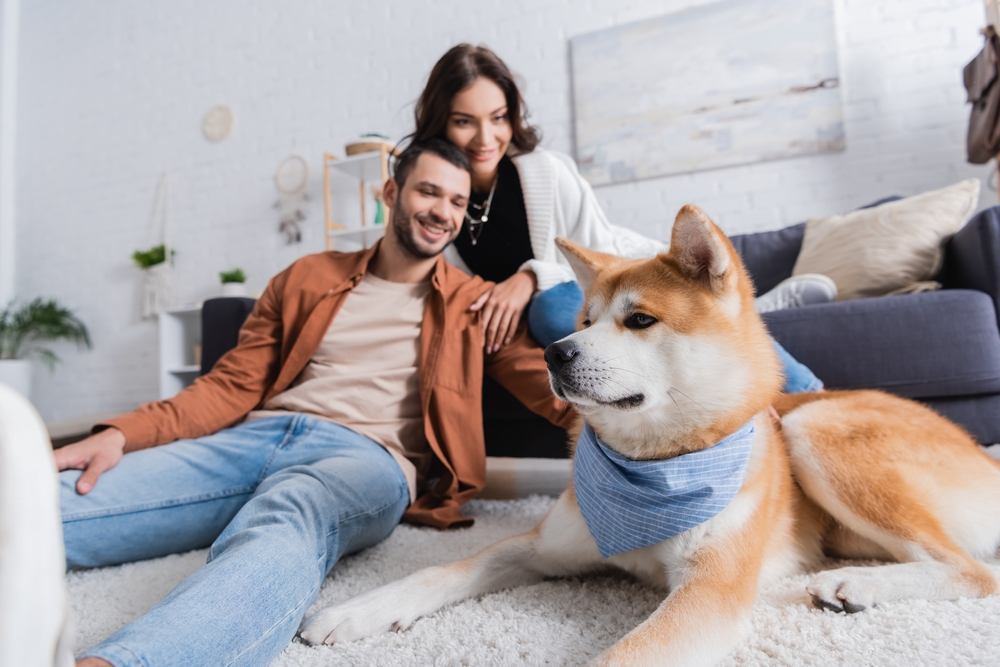 AkitaInuDogNearHappyBlurredCoupleInLivingRoom Total Vet