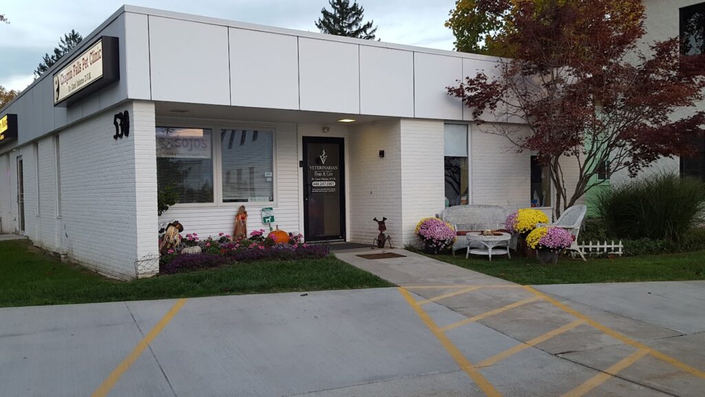 Best Vets in ClevelandChagrin Falls Pet Clinic Veterinary Center Total Vet Best Vets in Cleveland Chagrin Falls Pet Clinic Veterinary Center