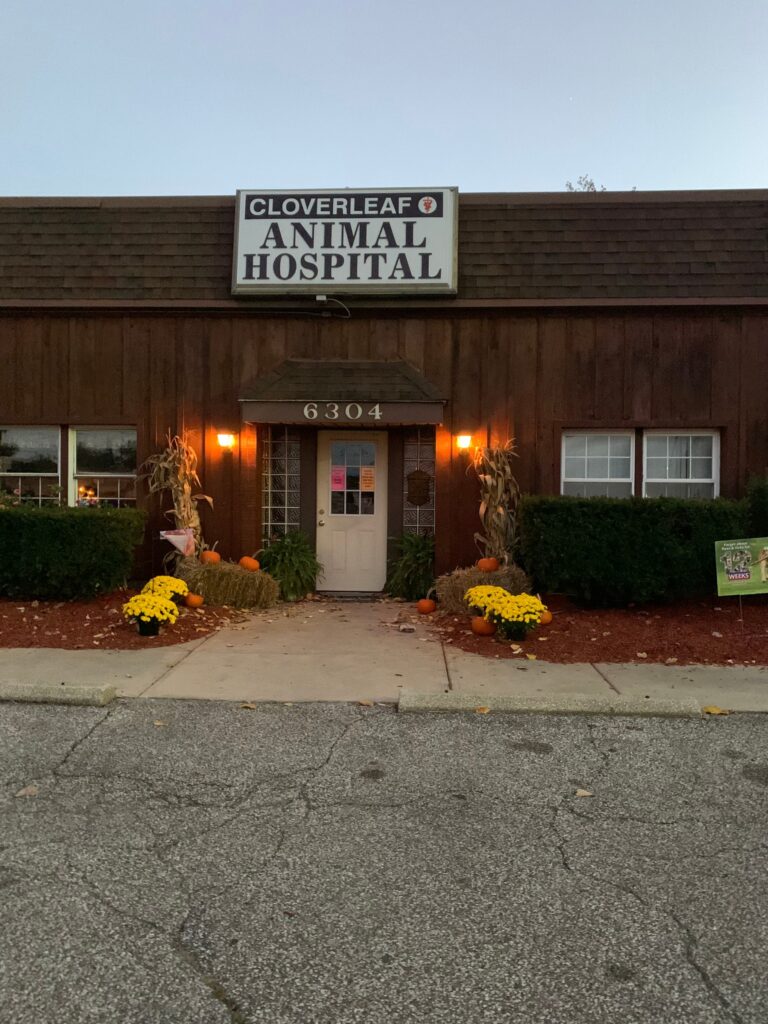 Best Vets in ClevelandCloverleaf Animal Hospital Total Vet Best Vets in Cleveland Cloverleaf Animal Hospital