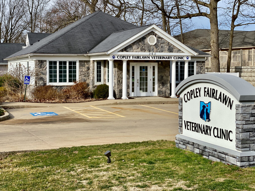 Best Vets in ClevelandCopley Fairlawn Veterinary Clinic Total Vet Best Vets in Cleveland Copley Fairlawn Veterinary Clinic