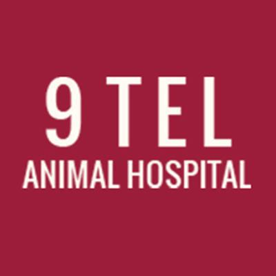 Best Vets in Detroit9 Tel Animal Hospital Total Vet Best Vets in Detroit 9 Tel Animal Hospital