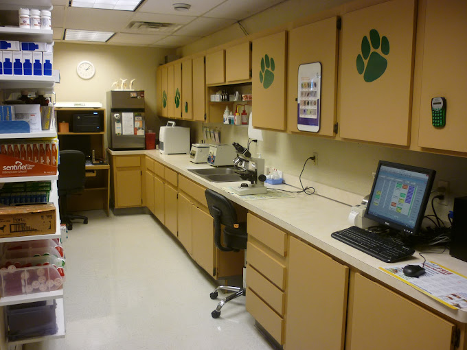 Best Vets in DetroitDAdamo Veterinary Hospital Total Vet Best Vets in Detroit DAdamo Veterinary Hospital