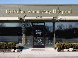 Best Vets in DetroitDePorre Veterinary Hospital Total Vet Best Vets in Detroit DePorre Veterinary Hospital
