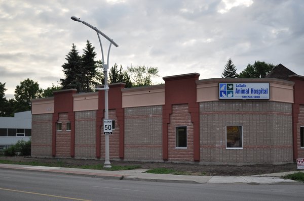 Best Vets in DetroitLaSalle Animal Hospital Total Vet Best Vets in Detroit LaSalle Animal Hospital