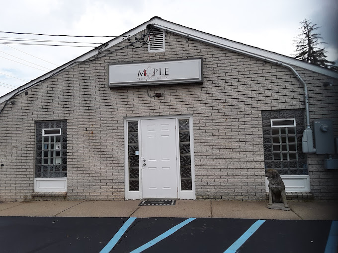 Best Vets in DetroitMaple Veterinary Hospital Total Vet Best Vets in Detroit Maple Veterinary Hospital