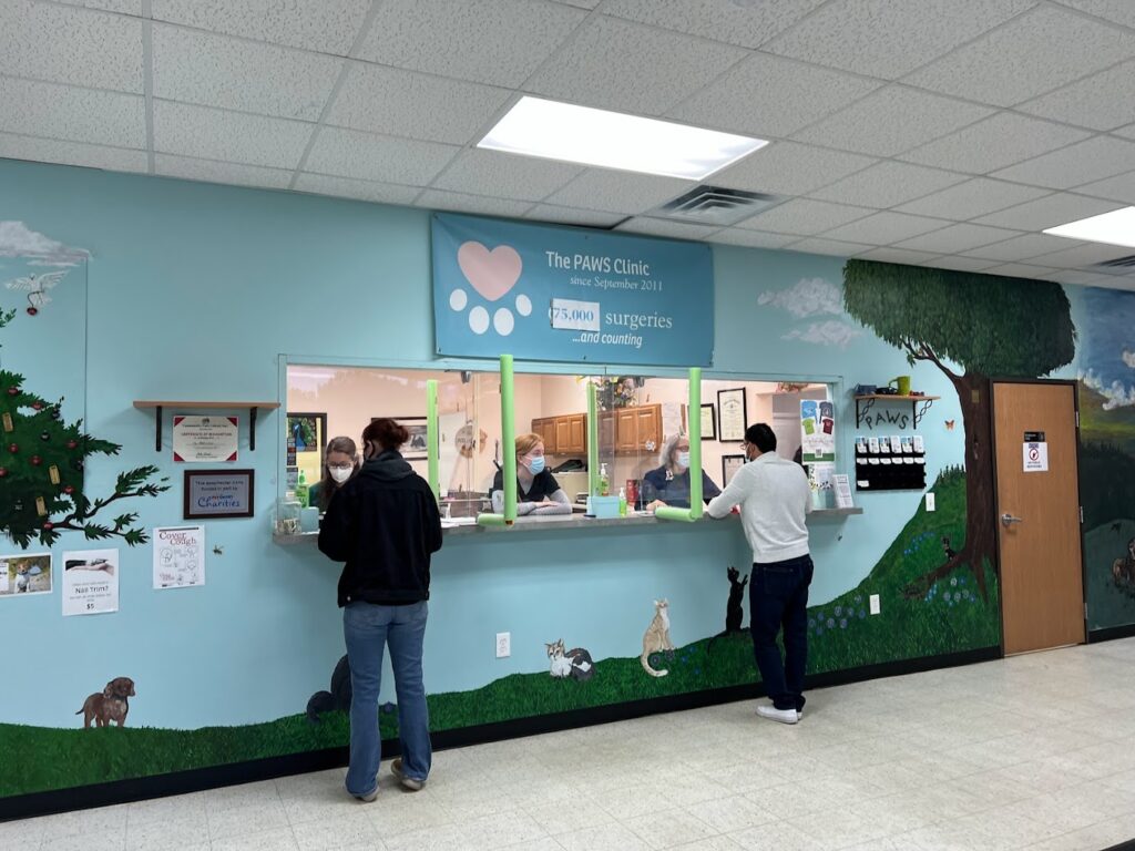 Best Vets in DetroitPaws Clinic Total Vet Best Vets in Detroit Paws Clinic