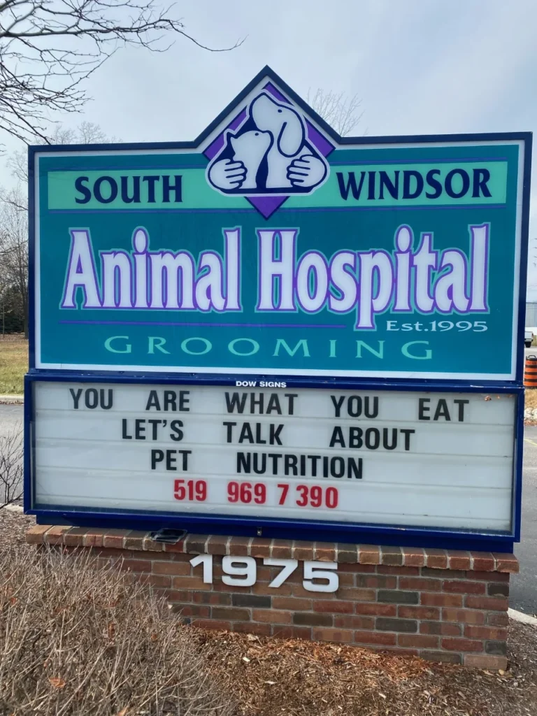 Best Vets in DetroitSouth Windsor Animal Hospital Total Vet Best Vets in Detroit South Windsor Animal Hospital