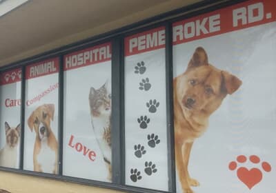 Best Vets in Fort LauderdaleAnimal Hospital of Pembroke RoadHollywood Vets Total Vet Best Vets in Fort Lauderdale Animal Hospital of Pembroke Road Hollywood Vets