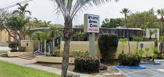 Best Vets in Fort LauderdaleAtlantic Animal Clinic Total Vet Best Vets in Fort Lauderdale Atlantic Animal Clinic