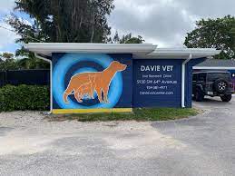 Best Vets in Fort LauderdaleDavie Veterinary Center Total Vet Best Vets in Fort Lauderdale Davie Veterinary Center