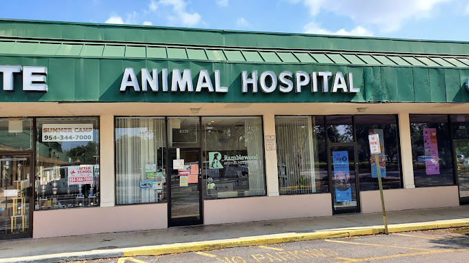 Best Vets in Fort LauderdaleRamblewood Animal Hospital Total Vet Best Vets in Fort Lauderdale Ramblewood Animal Hospital