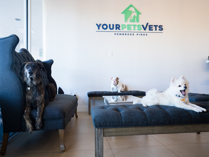 Best Vets in Fort LauderdaleYour Pets Vets Pembroke Pines Total Vet Best Vets in Fort Lauderdale Your Pets Vets Pembroke Pines