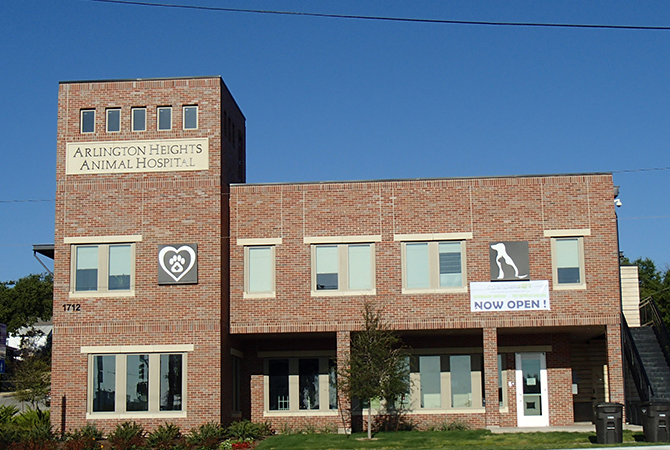 Best Vets in Fort WorthArlington Heights Animal Hospital Total Vet Best Vets in Fort Worth Arlington Heights Animal Hospital
