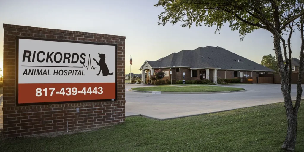 Best Vets in Fort WorthRickords Animal Hospital Total Vet Best Vets in Fort Worth Rickords Animal Hospital