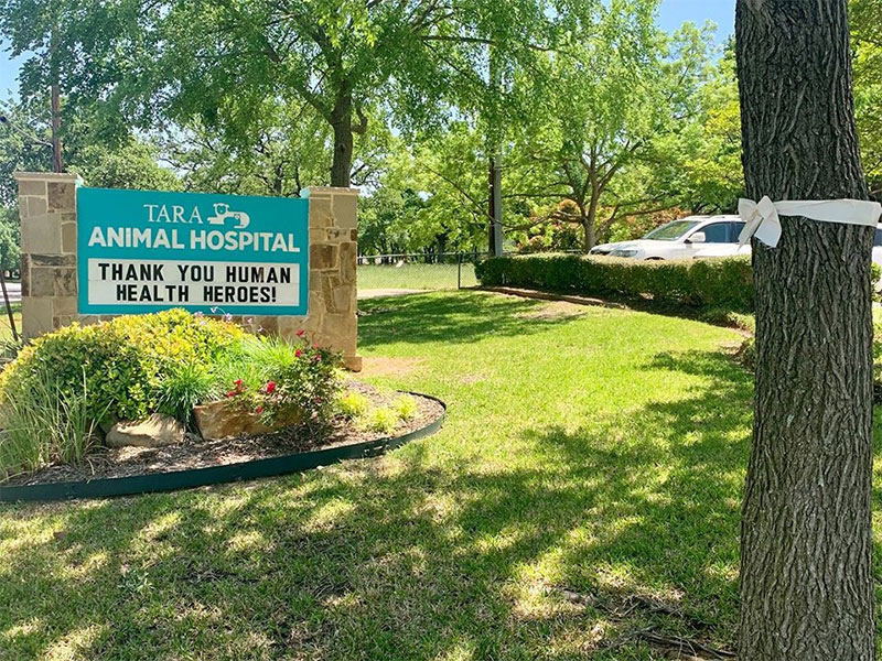 Best Vets in Fort WorthTara Animal Hospital Total Vet Best Vets in Fort Worth Tara Animal Hospital