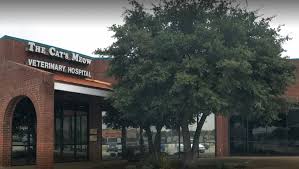 Best Vets in Fort WorthThe Cats Meow Veterinary Hospital Total Vet Best Vets in Fort Worth The Cats Meow Veterinary Hospital