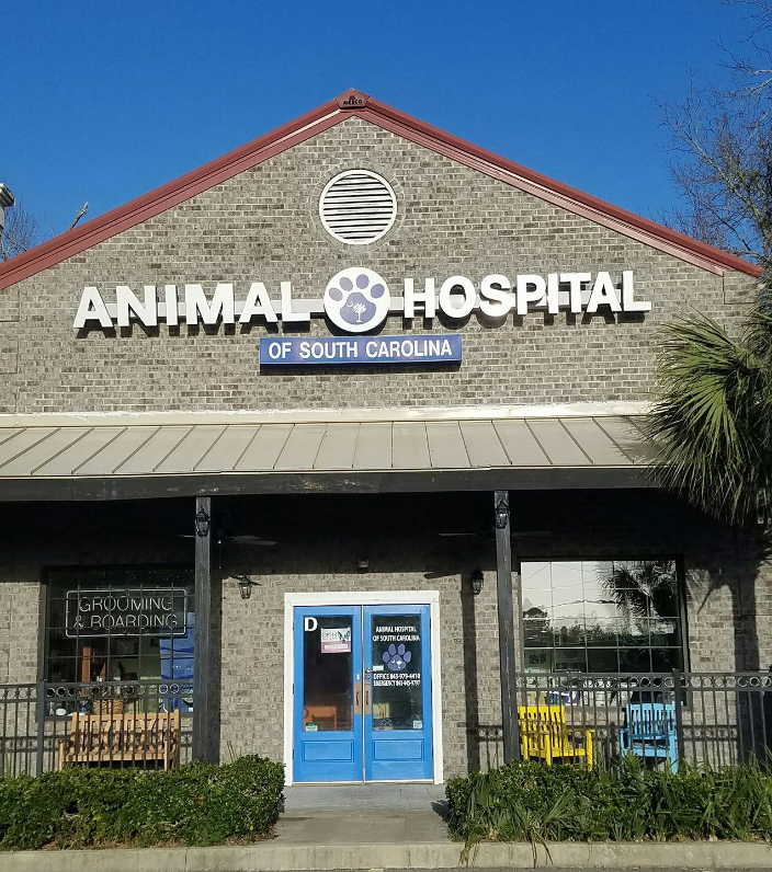 Best Vets in Myrtle BeachAnimal Hospital of South Carolina Total Vet Best Vets in Myrtle Beach Animal Hospital of South Carolina