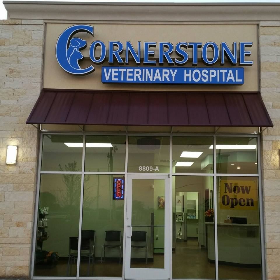Best Vets in Oklahoma CityCornerstone Veterinary Hospital Total Vet Best Vets in Oklahoma City Cornerstone Veterinary Hospital