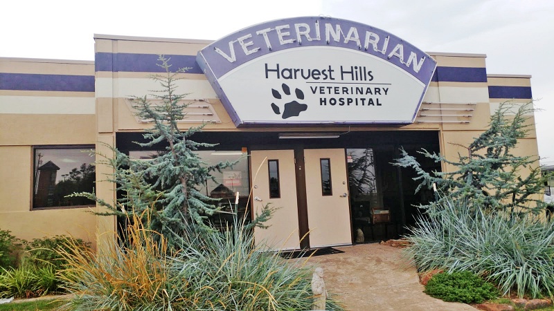 Best Vets in Oklahoma CityHarvest Hills Veterinary Hospital Total Vet Best Vets in Oklahoma City Harvest Hills Veterinary Hospital