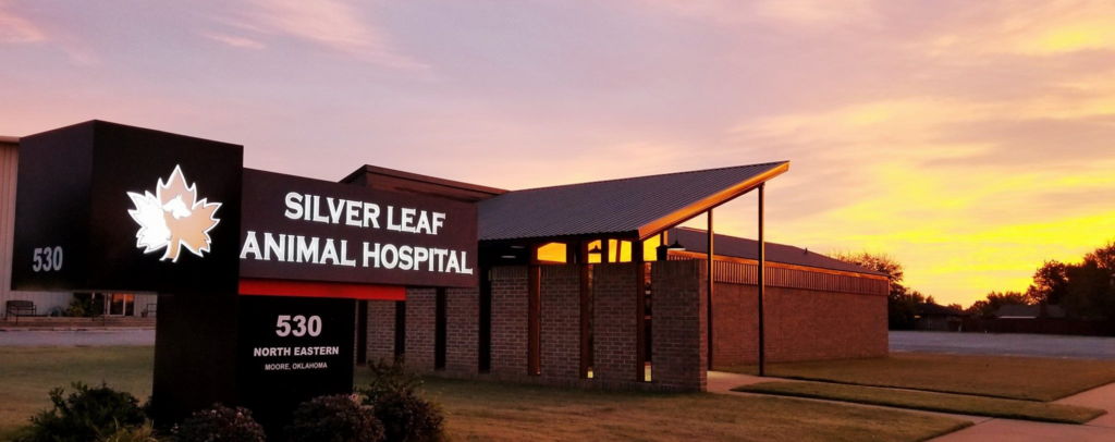 Best Vets in Oklahoma CitySilver Leaf Animal Hospital Total Vet Best Vets in Oklahoma City Silver Leaf Animal Hospital