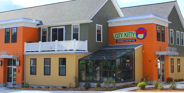 Best Vets in ProvidenceCity Kitty Veterinary Care for Cats Total Vet Best Vets in Providence City Kitty Veterinary Care for Cats